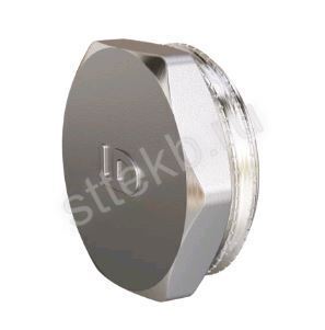 Пробка 2" DN50 НР латунь никель  LD - Сантехтрейд - Интернет-магазин сантехники г. Екатеринбург